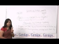 Understanding Symmetric & Asymmetric Cryptography 🔐 | Expert Explanation by Dr. Seema Batra