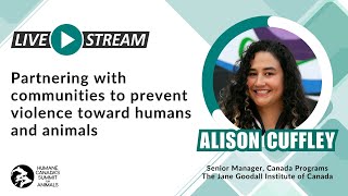 Partnering with Communities to Prevent Violence Toward Humans and Animals