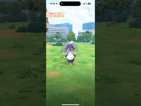 【難易度低】イエッサン(メス)極小サークルクリティカルゲット【ポケモンGO】