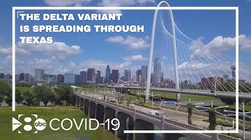 Texas COVID hospitalizations increase as Delta variant spreads