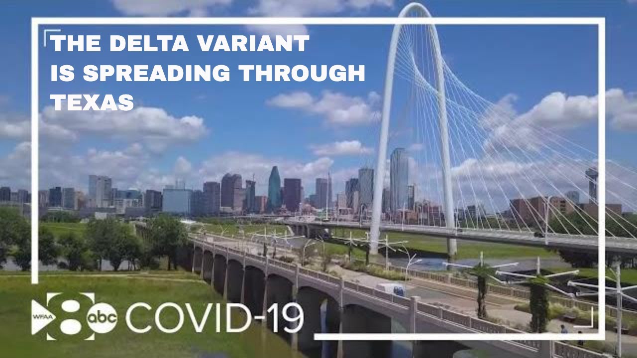 Texas COVID hospitalizations increase as Delta variant spreads - YouTube