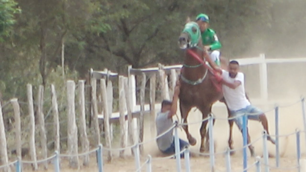 Especial: VII GP Jockey Club Haras Nego Vel - CLASSIFICATÓRIAS E FINAL