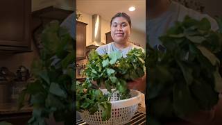 ยำวอเตอร์เครสหมูกรอบ (Watercress and Crispy Pork Salad) เมนูวันเคลียร์ตู้เย็นค่ะ #gonggangsstory