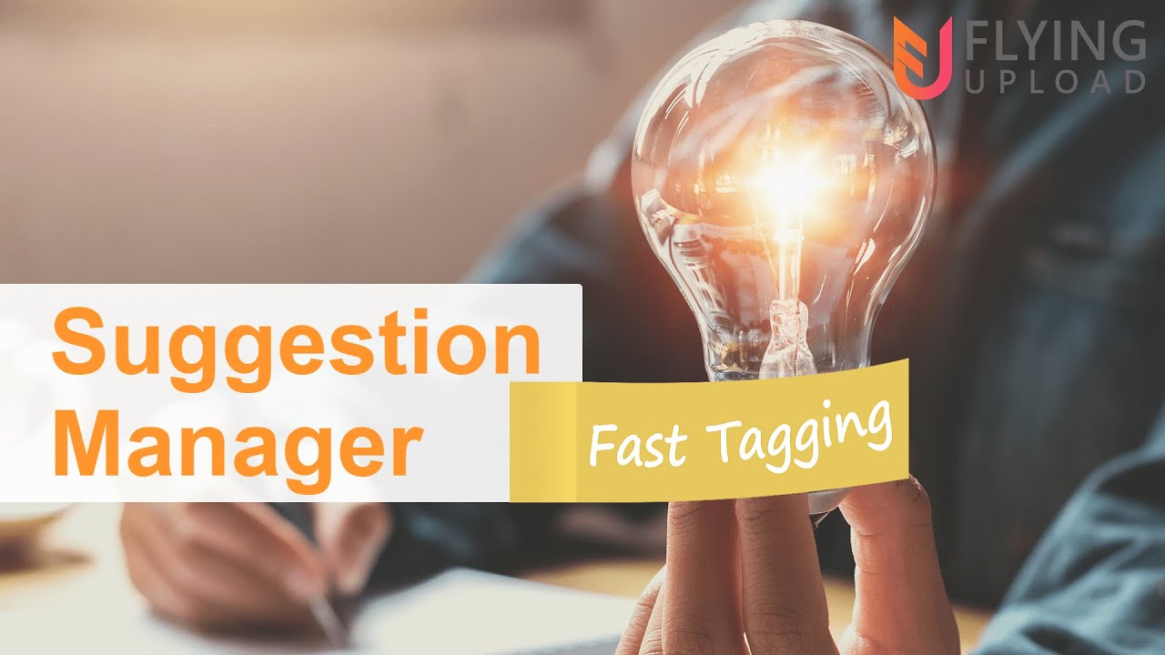 Suggestions Tagging Text and Keyword Suggestions for Tagging | Suggestion Manager of Flying ...