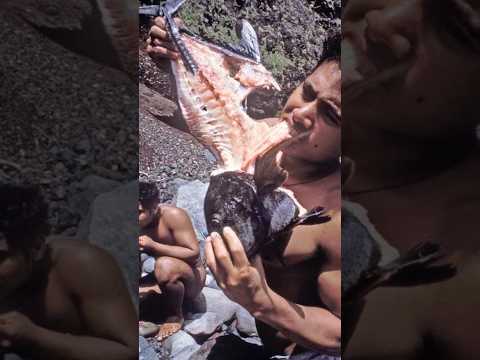 كيف عاشوا في جزيرة مهجورة