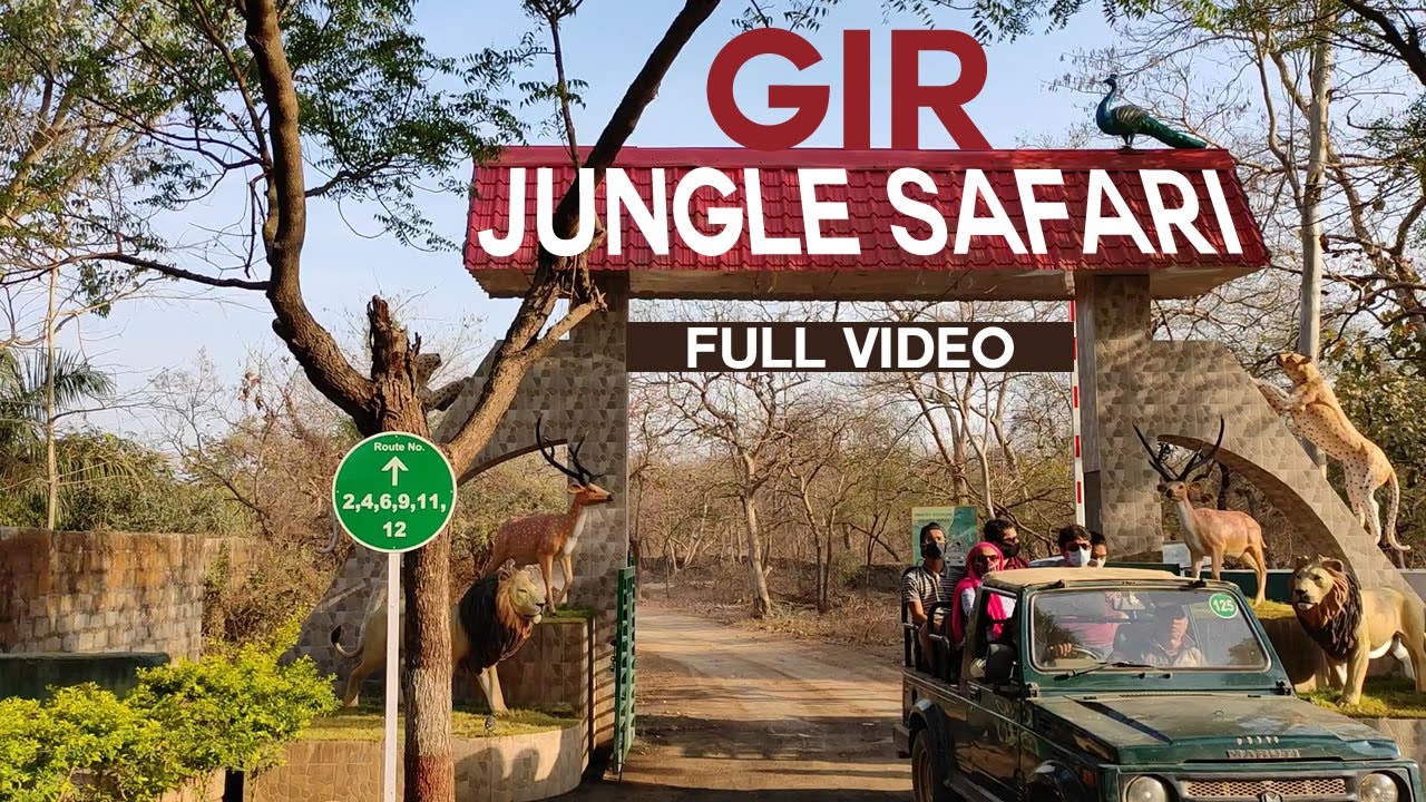 sasan gir safari location