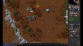 Tibia irmada