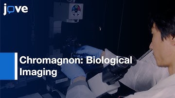 High-Accuracy Correction-3D Chromatic Shifts: Super-Resolution Biological Imaging l Protocol Preview