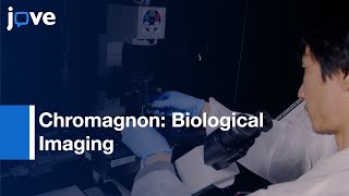 High-Accuracy Correction-3D Chromatic Shifts: Super-Resolution Biological Imaging l Protocol Preview