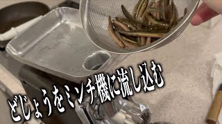 大量のどじょうをミンチ機に流し込んだら。。。　#shorts