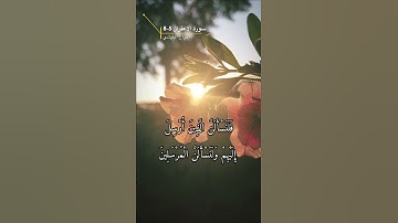سورة الاعراف الايه 5-8