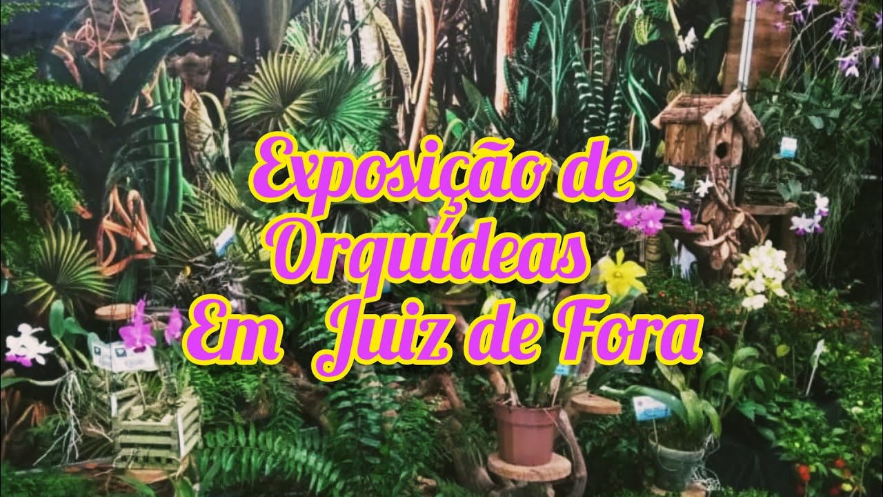 Orquidário de Santos promove oficina e exposição de roupas de boneca no  sábado