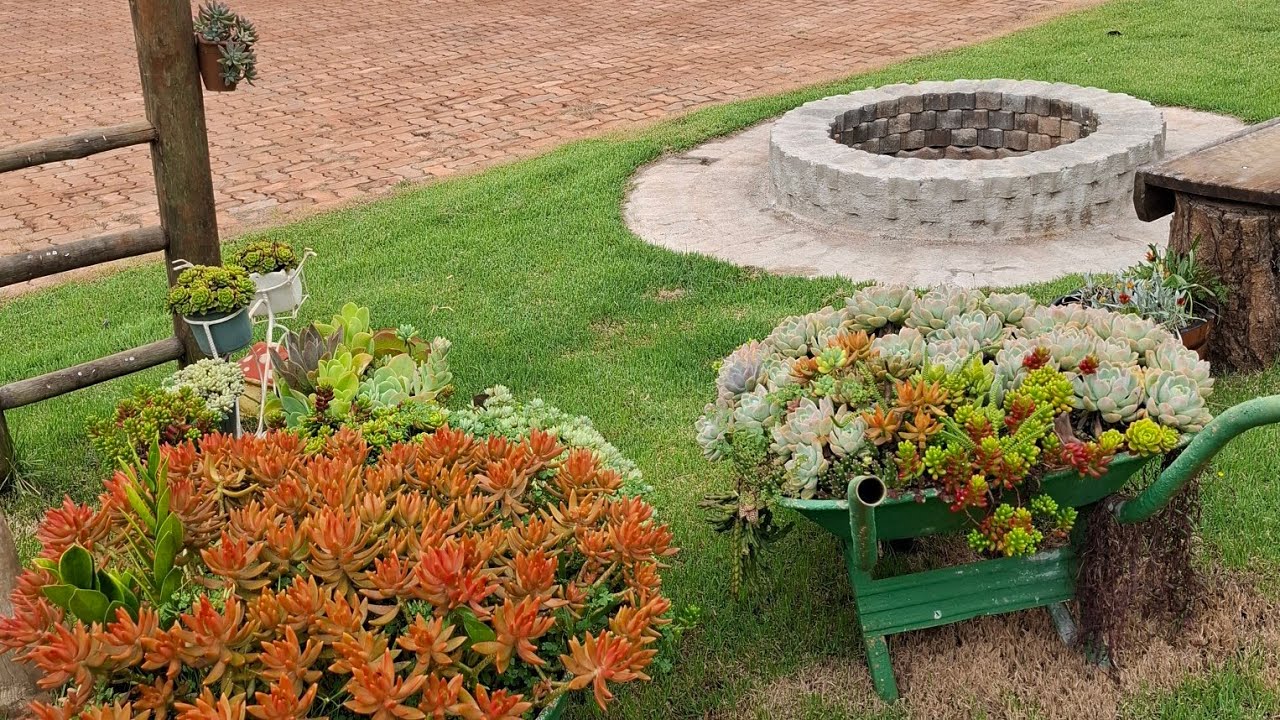 Está ficando como eu sonhei 🙏🥹❤️