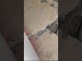 hammer drill removing concrete