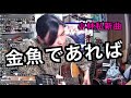 小林私   「金魚であれば」
