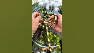 A KNOT SO SIMPLE, YET SO POWERFUL !!! #knots #knottying #knot #knotskill #knotskills