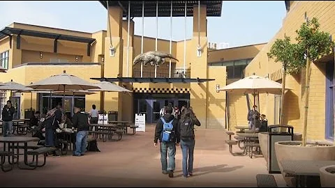 UC Irvine - 5 Things I Wish I Knew Before Attending