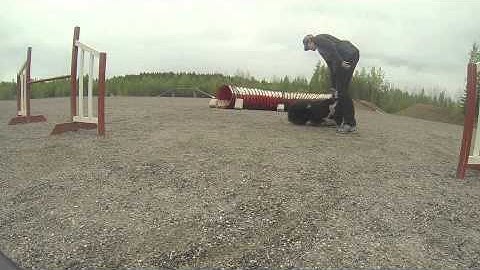 Iines off switch game