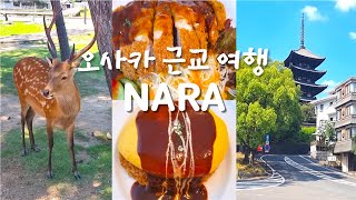[VLOG] 오사카 근교 여행(나라편) Ep.7 나라여행 꿀팁🍯 | 오므라이스 맛집, 사슴공원 | 오사카에서 교토가는 날