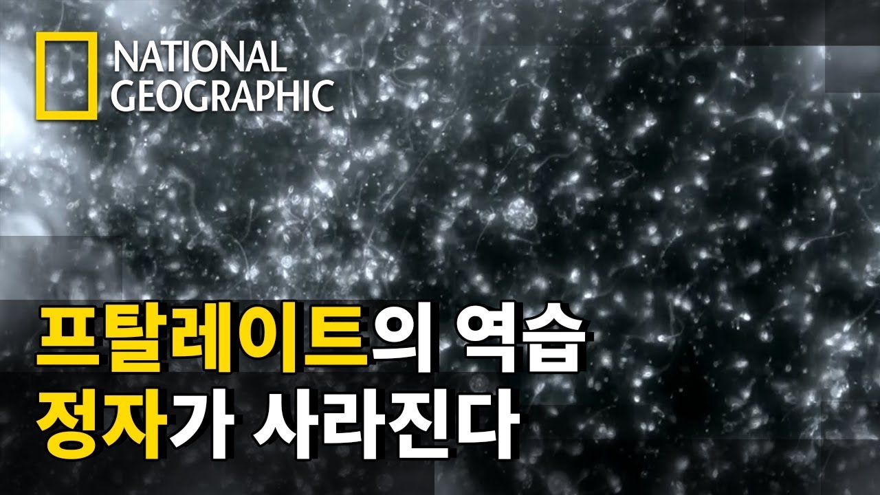 2050년경 남성들의 정자가 바닥날 수도 있다?