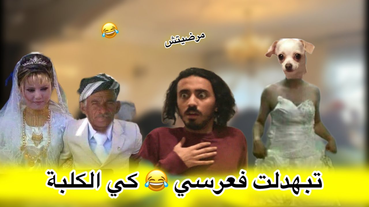 عرس الكلبة 🦮 تبهديلة على حقها و طريقها 😭 . مرضيتش🤣🤣