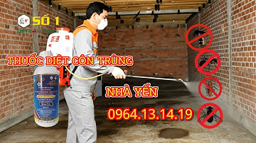 🦟 THUỐC DIỆT CÔN TRÙNG NHÀ YẾN MAXXTHOR 100 – DIỆT RUỒI, MUỖI, KIẾN, GIÁN, MẠT HIỆU QUẢ