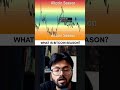 Bitcoin Season Explained: Why High Price Means Massive Market Volume! 📊 #shorts
