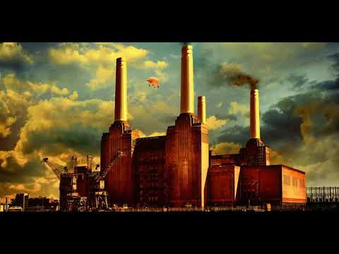 Pink Floyd - Money/Another Brick in the Wall (Pt2) [Live]