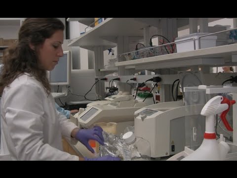 Hear Marina Tell You Why She Loves Medical Science Research