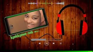taneem sanity dillin dillin lyrics 2023