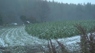 北海道各地で初雪観測 １２月上旬並み寒気