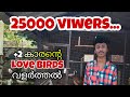 Love birds Malayalam ||ഷിയാസ്ന്റെ ലവ് ബർഡ്സ്