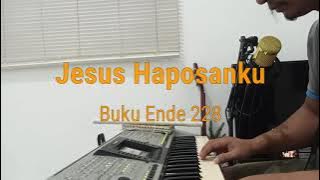 Buku Ende No 228 Jesus Haposanku