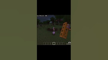 Animation commands are fun #shorts