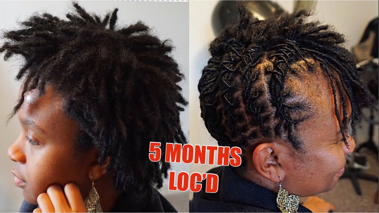 Styling Short Locs 5 Months Loc D