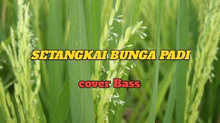 Setangkai bunga padi || Santa hoki (cover bass)