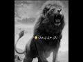 الاسد انا عندما اطلقت اهاتي 