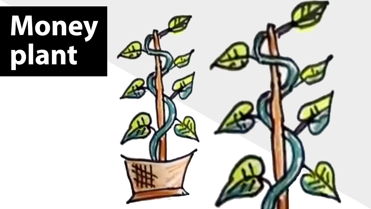 flower pot of money plant easy drawing || Pencil Drawing Tutorial - YouTube