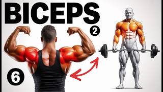 6 Killer Exercises for Massive Biceps – Build Arm Muscle Fast!