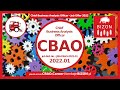 CBAO -Chief Business Analysis Officer Job Offer -BIZON Company -BIZON IS BACK -Kombajn BIZON Powraca