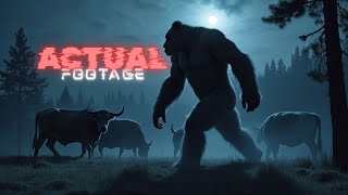 Unbelievable Bigfoot Footage – 6 Times It Was Caught on Camera