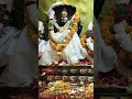 🙏#mallanna🌸#swami👏#yearly✴️#rituals🥳#shiv🪔