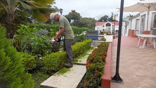 trabajando con cortaceto stihl HS45 by Eduar Beltran 162 views 3 months ago 1 minute, 11 seconds