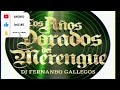 MERENGUE CLASICO SOLO EXITOS ( MIGUEL MOLY,LOS MELODICOS,DIVEANA,KAROLINA,LIZ,NATUSHA.)