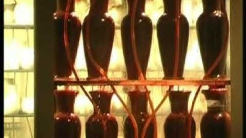 Sudarshan Shetty - Love (part 2 of 2)