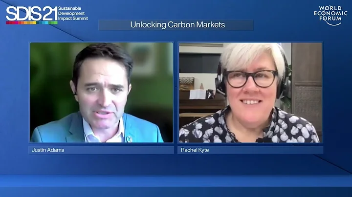Unlocking Carbon Markets | Sustainable Development Impact Summit