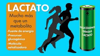 🔋 LACTATO. Mucho + que un metabolito