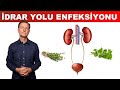 İdrar Yolu Enfeksiyonu İYE Için En İyi Tedavi Dr Berg Türkçe