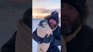 Hero Saves Baby Gray Seal Trapped Under Ice — Emotional Arctic Rescue!