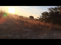 My First Brisk Walk On Johnson Farm Kapiri Zambia My First Brisk Walk On Johnson Farm Kapiri Zambia